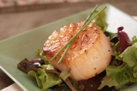 Scallops